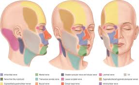 Image result for Forehead Regional Block
