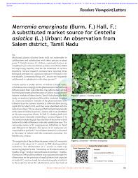 Image result for Merremia emarginata