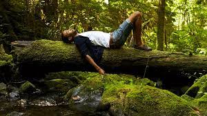 Select from premium relaxing of the highest quality. 10 Ways To Relax In Nature And Stress Less American Heart Association