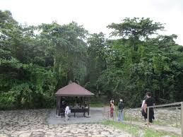 The wetland treats the water flowing through it, which was a former landfill. Day 16 Pulau Semakau The Flying Circus Project 2013