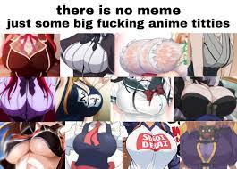 Big Fucking Anime Titties : r goodanimemes