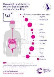 Students will have problems clearing the exams. Sugar And Cancer What You Need To Know Cancer Research Uk Cancer News