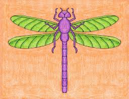 And it's not just for dragonfly wings. Draw A Realistic Dragonfly Art Projects For Kids
