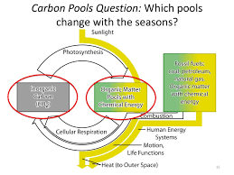 Carbon Transformations In Matter And Energy Ppt Download