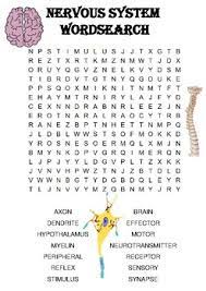 This product includes the nervous system unit crossword puzzle and the answer key. Nervous System Puzzle Worksheets Teaching Resources Tpt