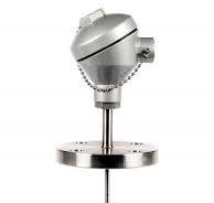 RTD Sensor (Pt100, Pt1000) with Extension & Flange