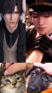 Comparing cat and dog to Zayne and Caleb