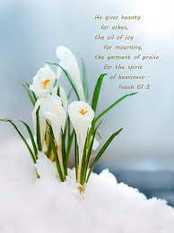 Other songs from hillsong worship. Beauty For Ashes Photograph By Terrie Sizemore
