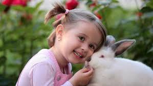 Children love our interactive petting zoo because they can pet and play with these cuddly animals, take pictures & even feed them. The Best Petting Zoos For Kids Birthday Parties Ellaslist