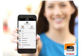 Pomegranate Liqueur Morgan Davis Wine Pomegranate BINDI Wines “Dhillon”  Grenache