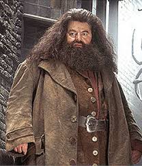 Emma watson, rupert grint, richard harris, daniel radcliffe.filmul este bazat pe primul roman din seria cunoscuta de carti despre harry potter scrise de j.k. Rubeus Hagrid Wikipedia
