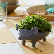 They are a must for outdoors: Hedgehog Home Garden Accessories Ceramic Animal Planter