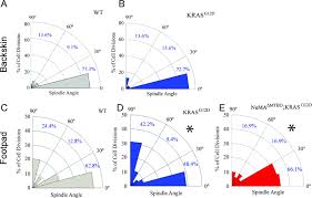 We did not find results for: Regulated Spindle Orientation Buffers Tissue Growth In The Epidermis Elife