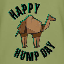 Since,the wednesday falls on middle of the week just like the hump of a camel, the day has entitled with hump day. Happy Hump Day T Shirt By Chargrilled
