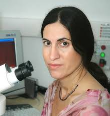 A wordless language among bacteria