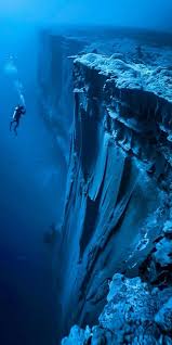 The „Mariana Trench“ of the Dark Web: Myth vs. Documented Reality | by  Maria Antonovich | Medium