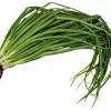 Onion white rot isn't nearly as easy to deal with as onion rust. 1