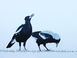 November Bird Of The Month Nicole Grimm Hewitt Magpie Artist Of The Month November 2014 Discover More Http Www Magpieaholic Com Nicole Grimm Hewit Magpie Art Bird Drawings Bird Art