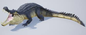 The name means boar crocodile from the greek κάπρος, kapros (boar) and σοῦχος, soukhos (crocodile. Siaka Dibba Kaprosuchus