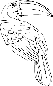 This toucan coloring page is a wonderful afternoon activity there's plently of opportunity to create a colorful bird of your own. Toucan Coloring Pages Best Coloring Pages For Kids