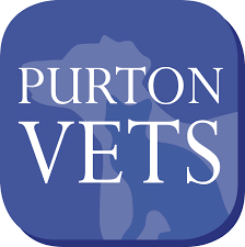 All are food ingredients found in almost every kitchen. Cat Advice From Vets In Swindon Purton Vets Purton Vets