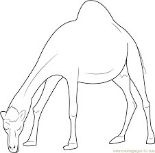 We did not find results for: Oman Camel Coloring Page For Kids Free Camel Printable Coloring Pages Online For Kids Coloringpages101 Com Coloring Pages For Kids