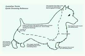 Groom Chart Australian Terrier Dog Grooming Pet Grooming