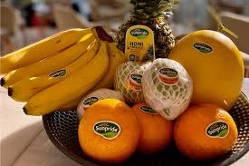 We did not find results for: Kenali Buah Lokal Yang Mengandung Vitamin Dan Mineral Tinggi Halaman All Kompas Com