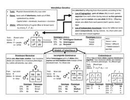 Mendelian Genetics Anchor Chart Eoc Review