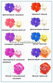 Maybe you would like to learn more about one of these? Clematis And Roses Photos Co Cultivation And Care Of Plantings A Site About A Garden A Summer Residence And House Plants