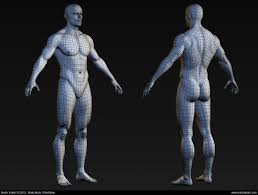 Male Body Base Mesh Andor Kollar Character Artist In 2020 Male Body Zbrush Man Anatomy