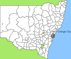 Ivf australia are leaders in ivf & fertility treatment in sydney, newcastle & the central coast. Datei Australia Map Nsw Lga Orange Png Wikipedia