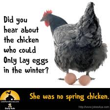 Birds Of The Same Feather Joke Joke Gallery Cute Jokes Cheesy Jokes Funny Jokes For Kids