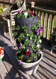 Pin On Aaa Garden And Bushes For Our House