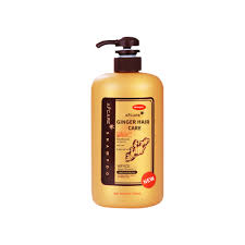 Contains 100% natural herbs and oils, plus aloe vera and panthenol. Private Label Anti Hair Loss Nature Organic Ginger Thickening Growth Shampoo And Conditioner Kids Organic Shampoo China Argan Oil Shampoo And Shampoo And Conditioner Price Made In China Com