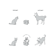 Link directly to your image. These 6 Illustrations Show What Goes On In The Mind Of An Introvert Knops