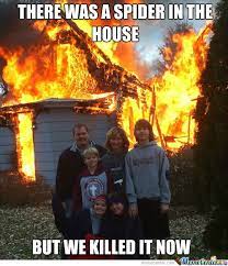 Maybe you would like to learn more about one of these? This Man Tries To Kill Spiders With Blow Torch Ends Up Burning His House Down 9gag