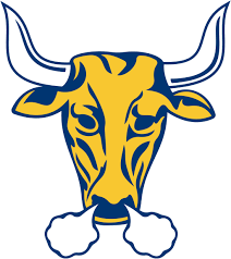 Mavericks are creative and imaginative, and they're great at approaching situations from fresh, new angles. Austin Mavericks Minnesota Amateur Hockey League Wiki Fandom