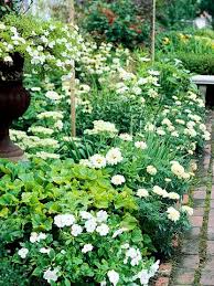 White Theme Garden Plan Garden Planning Blue Flowers Garden Garden Theme