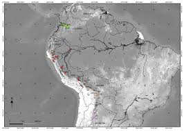 Image result for Pouzolzia bracteosa