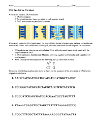 Dna structure and replication worksheet answers dna replication worksheet answer key quizlet / dna chapter12 packet from dna replication worksheet answer key , source: Dna Base Pairing Worksheet Answer Key Fill Out And Sign Printable Pdf Template Signnow