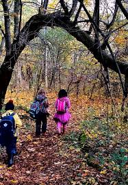 Franchise Why ALFS'S