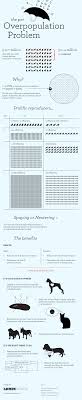 Diagram Of The Pet Overpopulation Problem Includes Most Prolific Reproducers Adopt Spay Neuter Volunteer Pls Don T Shop While Shel Spay Pets Infographic