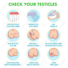 Cancer that's spread to other parts of the body is known as metastatic cancer. Testicles Self Exam Testicle Cancer Symptoms And Monthly Examination Infographics Vector Icon Set I Illustration For Flyers Brochures Web Resources Health Centers Royalty Free Cliparts Vectors And Stock Illustration Image 102127337