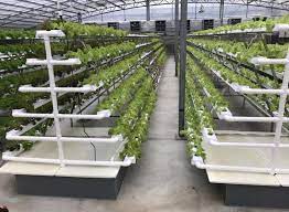 Commercial Vertical Grow Technologies Vertical Hydrogarden Vertical Farming Hydroponics Vertical Hydroponics