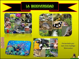 LA BIODIVERSIDAD