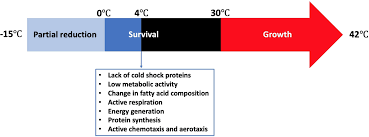 We did not find results for: Frontiers Survival And Control Of Campylobacter In Poultry Production Environment Cellular And Infection Microbiology
