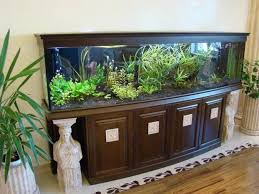 Wp Design Inspiration Ideas All About Home Decor Diy Inspiration Fish Tank Decorations Fish Tank Stand Fish Tank