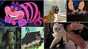 Literary cat names for your cute kitten, popular cat names inspirated from literary novels, plays, poetry and movies, page 1. Meow Mix The 100 Most Iconic Cats In Movies Paste