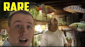 THOUSANDS of Rare and Unique Fish